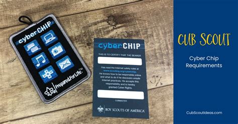 cyber chip requirements.